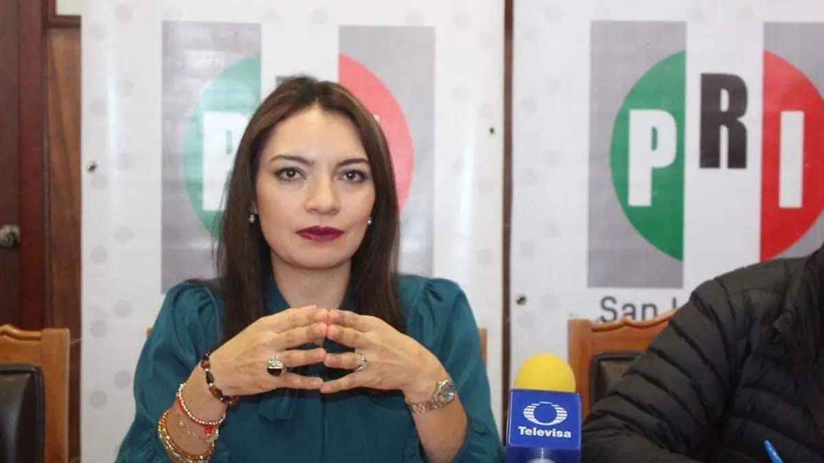 Mely-Romero,-secretaria-de-Gestión-Social-del-Comité-Nacional-del-PRI,