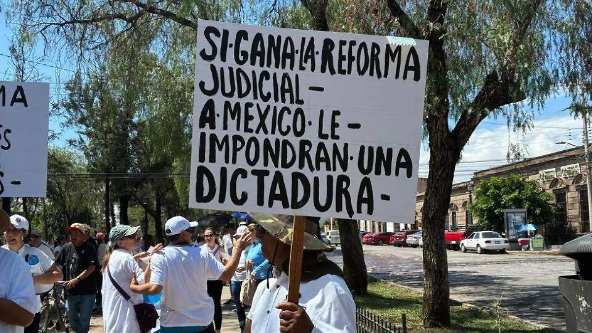 Manifestación Potosinos con Valor