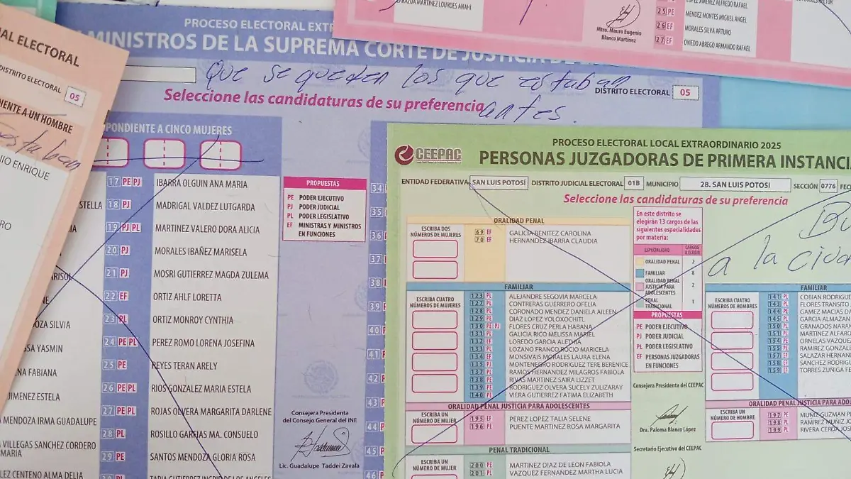 voto nulo elección judicial.jpg