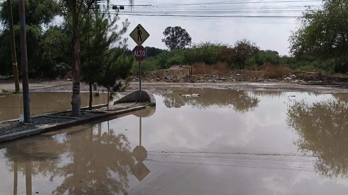 Lodazal en Circuito Las Palmas