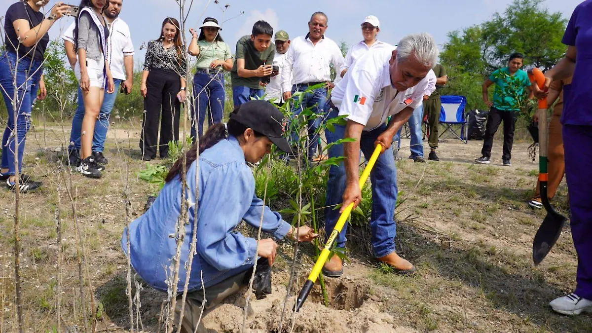 Reforestación SEDARH