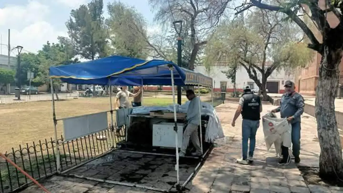 WhatsApp Image 2025-06-05 at 15.24.55