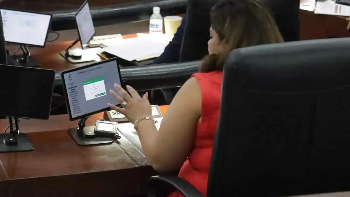 sistema de voto electrónico Congreso (3).jpg