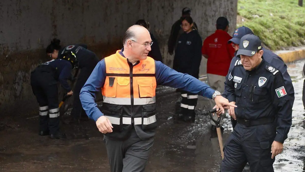 Limpieza de la Glorieta de la Familia (1).jpg