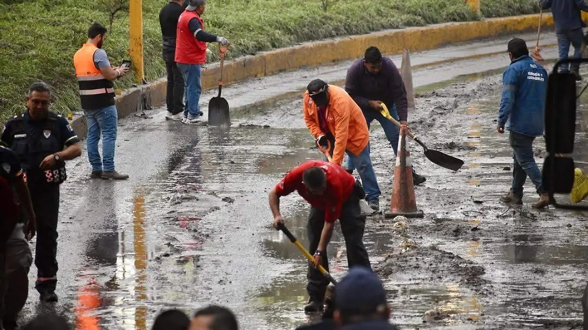 Limpieza de la Glorieta de la Familia (3).jpg