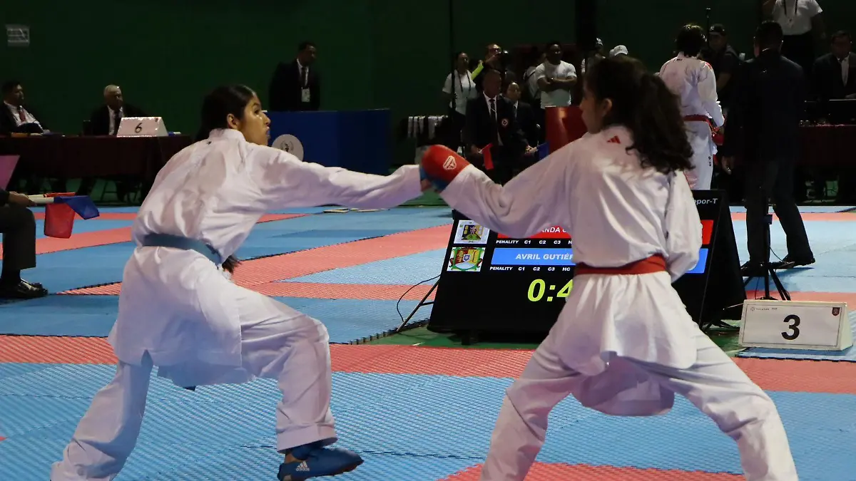 Karate3