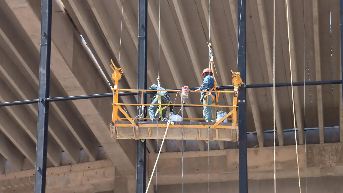 TRABAJADORES (13)