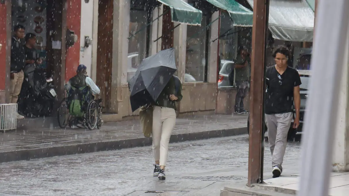 Lluvia (3)
