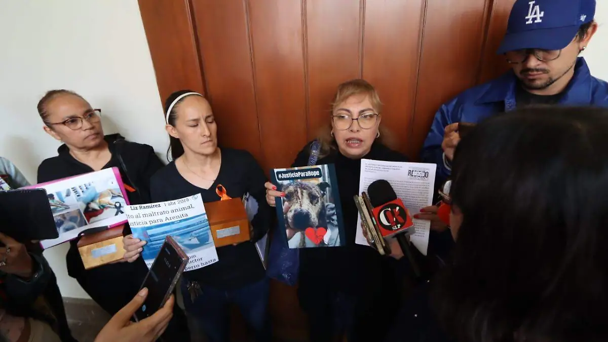 Casos de maltrato animal