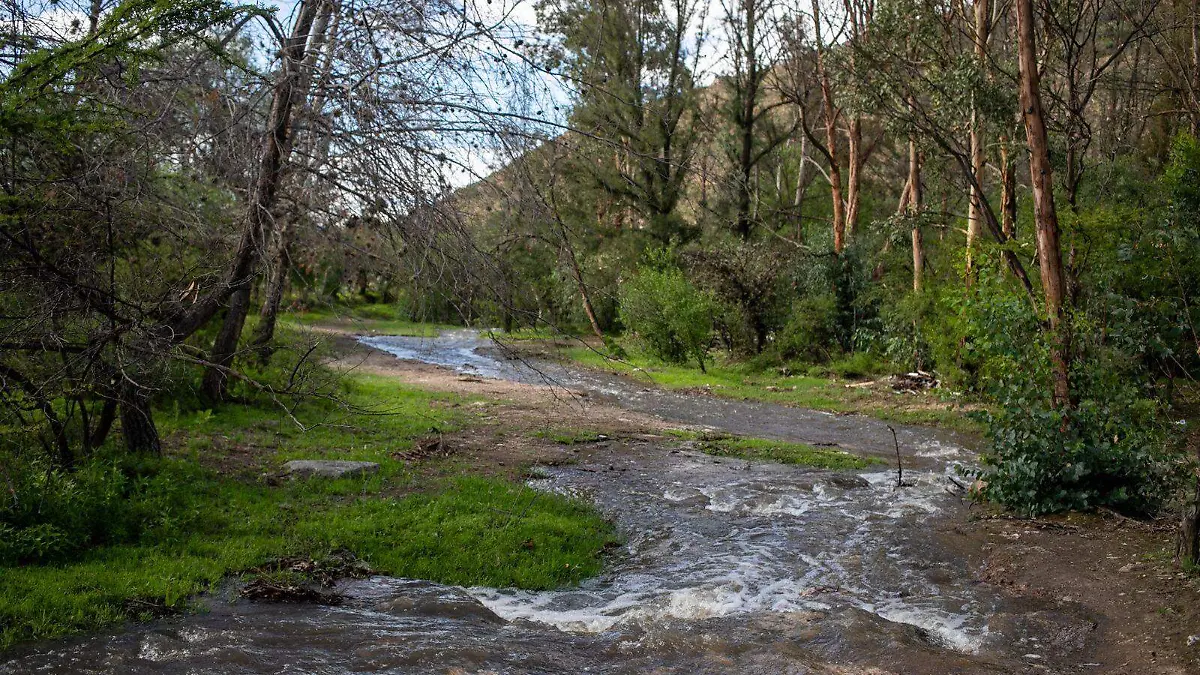 Presa Cañada del Lobo (1).jpg
