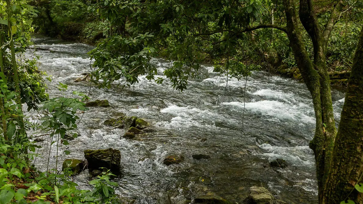 Arroyo en Tambaque