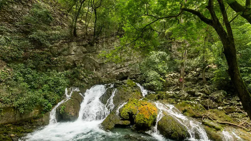 Tambaque