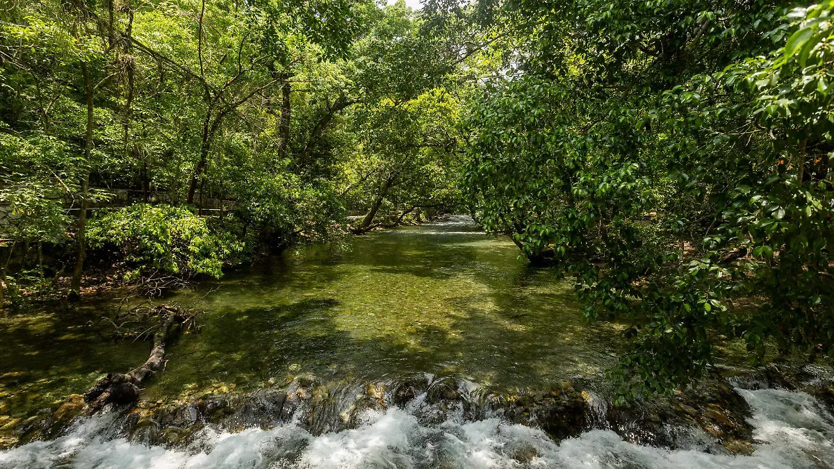 Tambaque, a minutos de Aquismón
