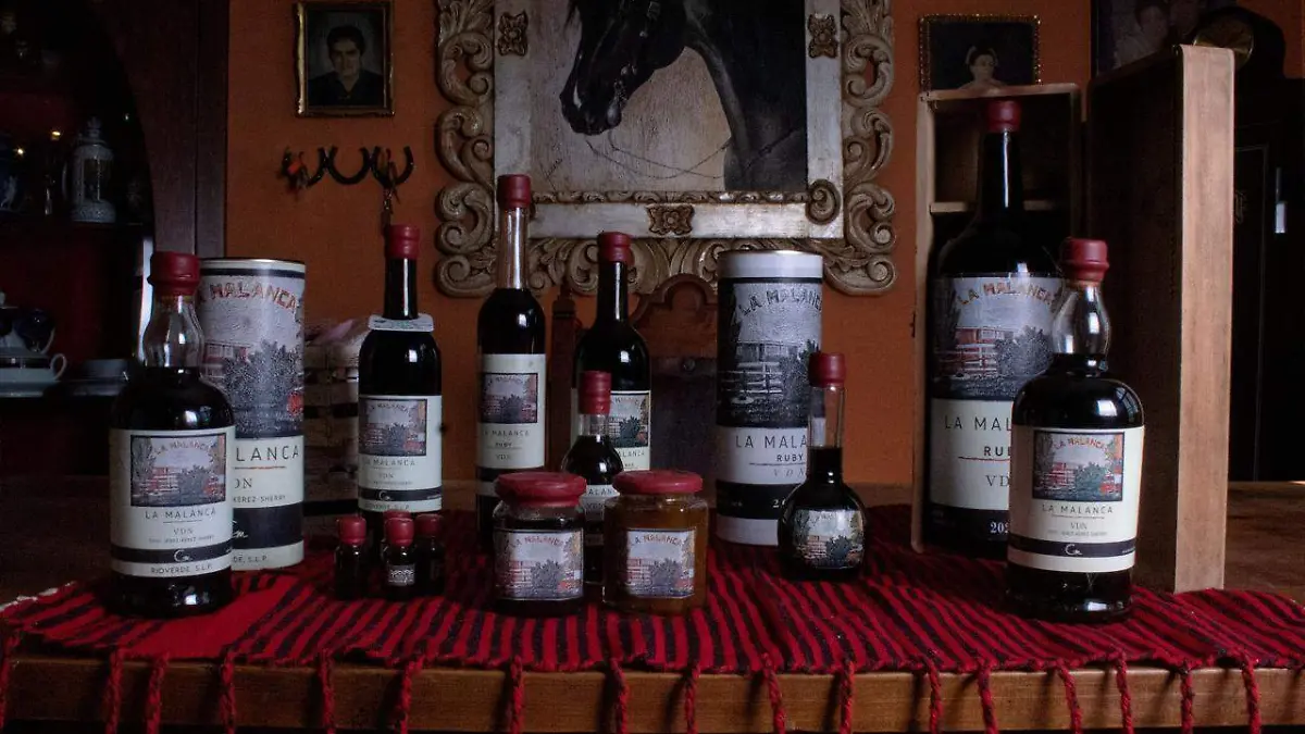 La Malanca y Pozo de Luna, dos imperdibles de la temporada de vendimias 2025