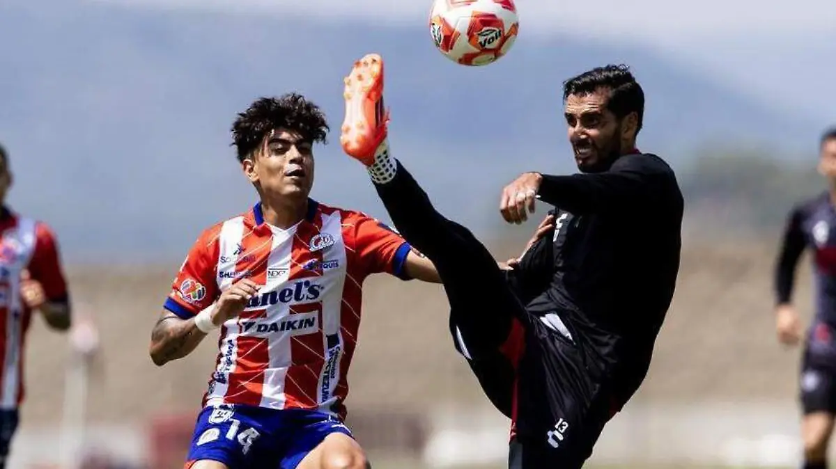 WhatsApp Image 2025-07-01 at 15.47.48