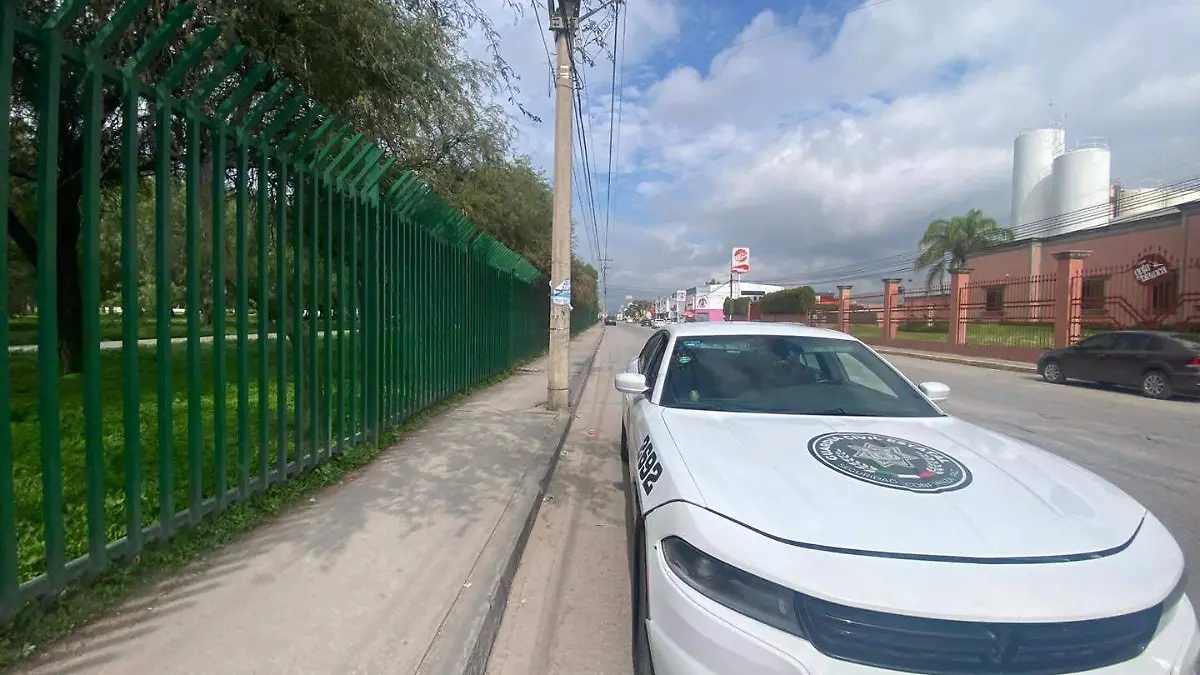 GCE Parque Tangamanga II (2).jpg