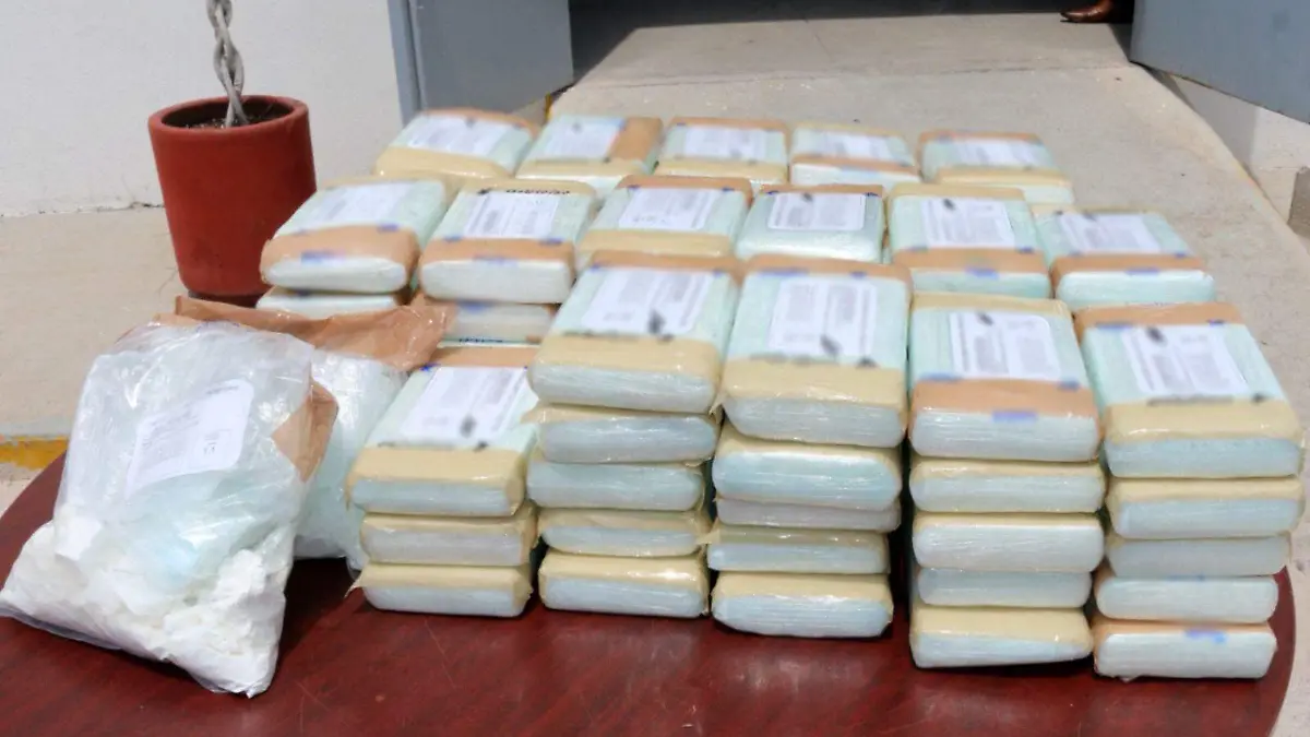 WhatsApp Image 2025-07-17 at 17.21.59