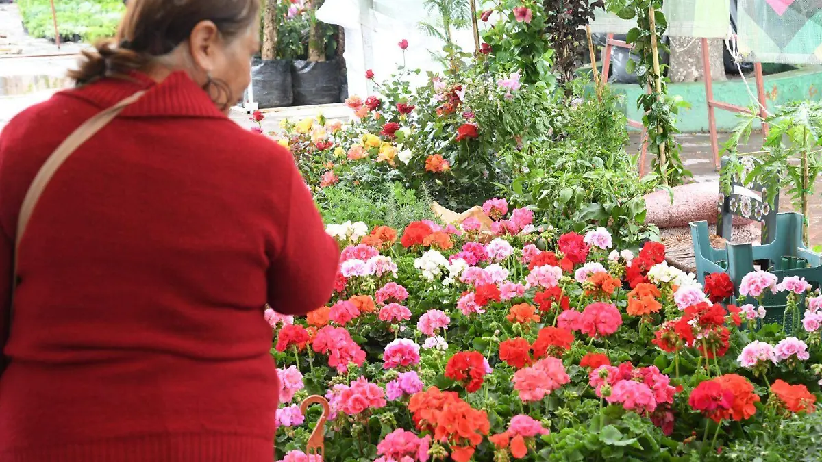 Feria de las Flores  (3)