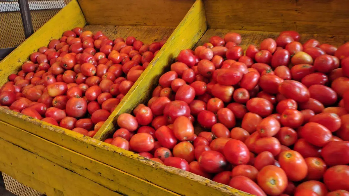 Tomate (1)
