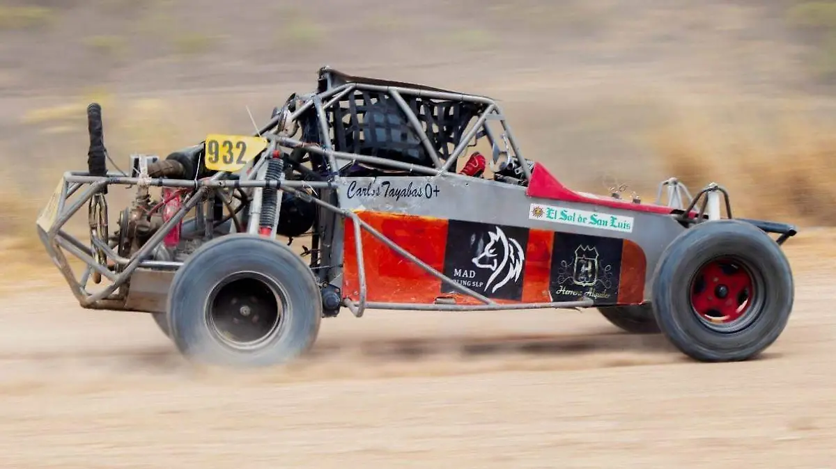 WhatsApp Image 2025-07-23 at 15.19.16