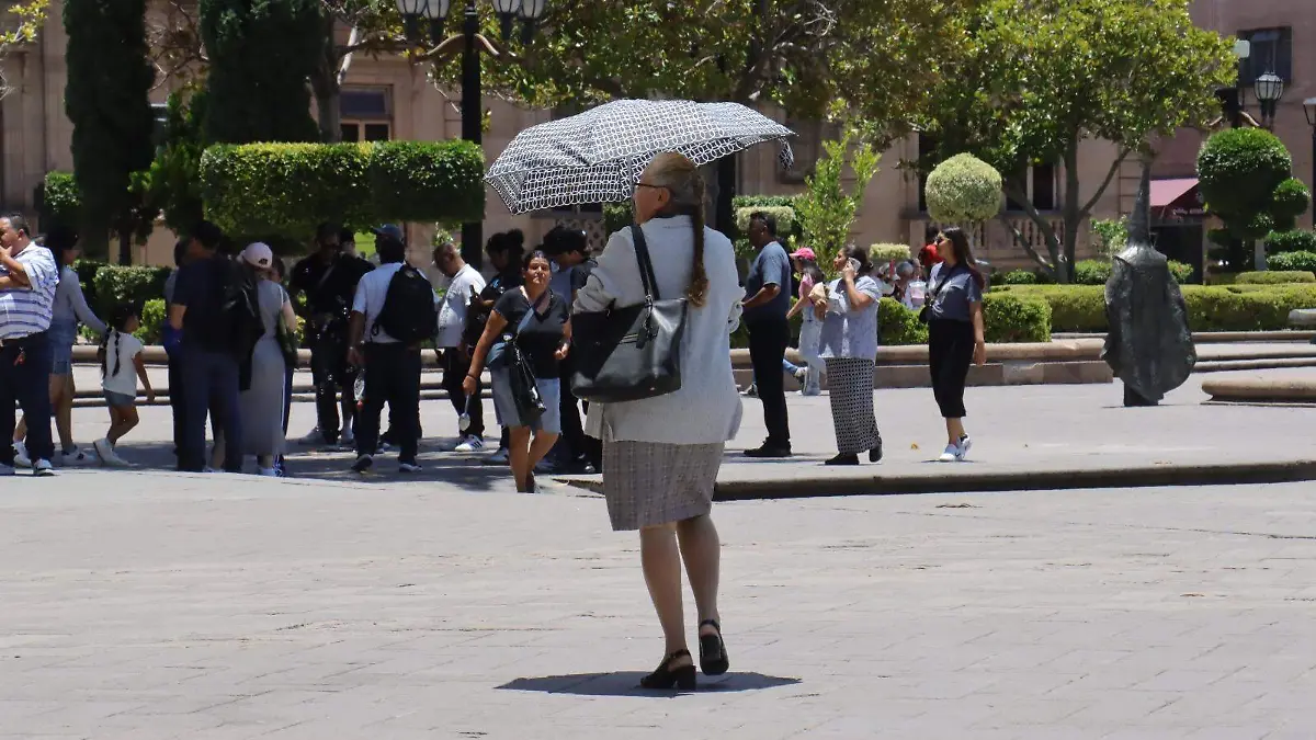 Adultos mayores (1)