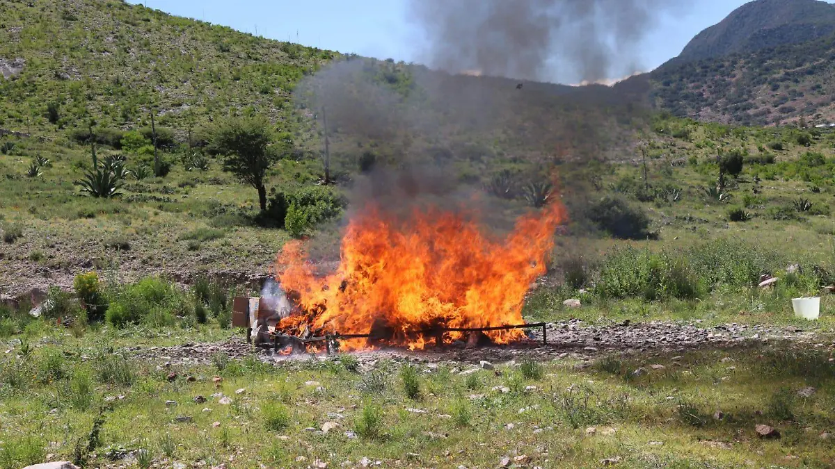 incineran drogas decomisadas