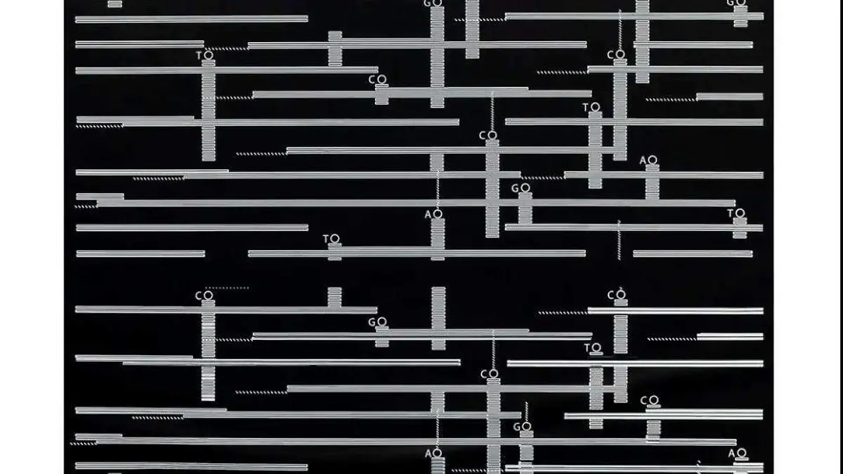 códigos Ernesto (2).jpg