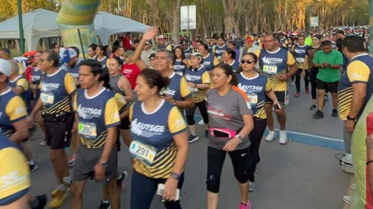 carrera SUTSGE