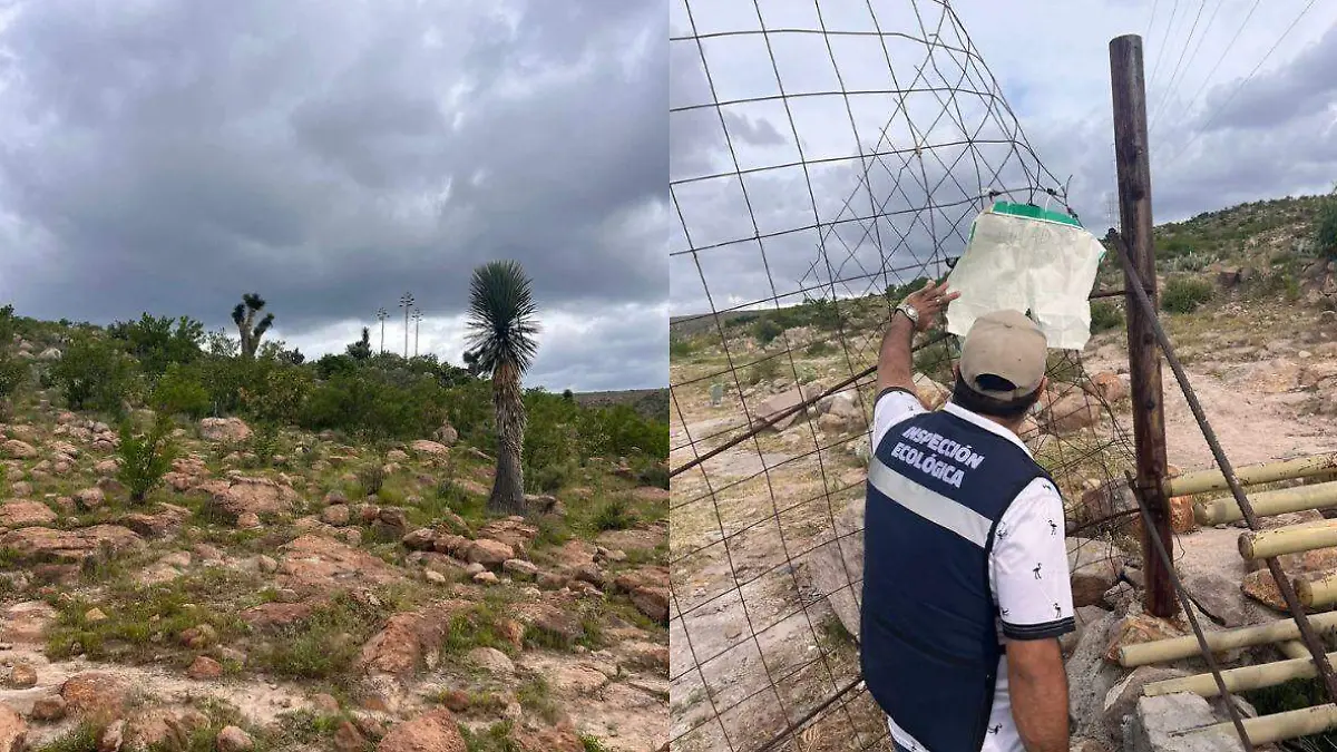 Revisión faldas de la Sierra de San Miguelito