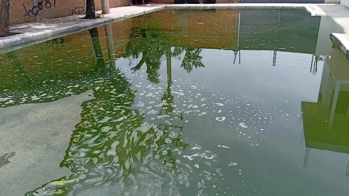 Aguas negras en El Saucito (1)