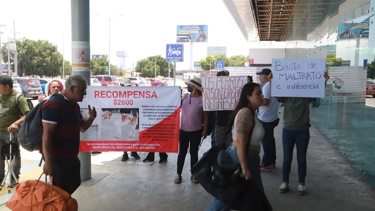 se manifiestan por perrita en la TTP(4)