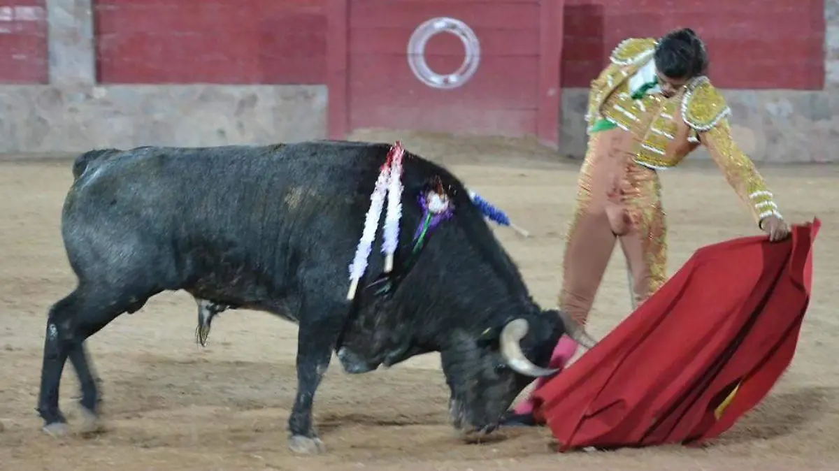 luis david primer toro