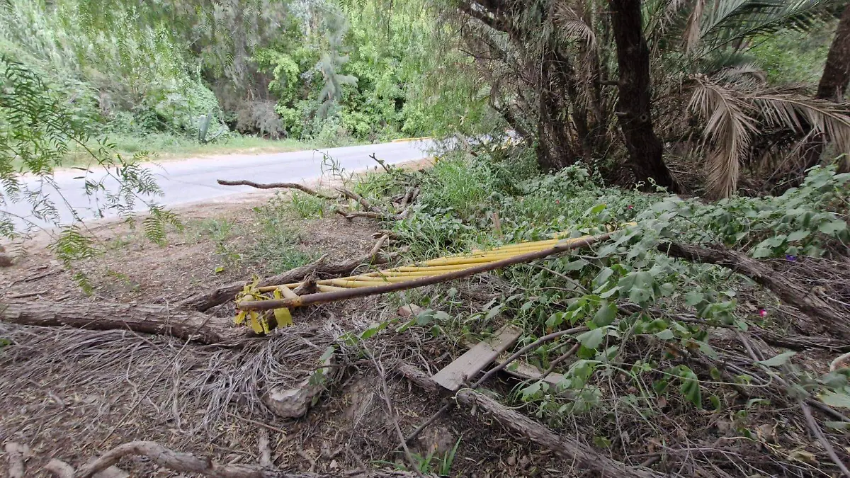 Presa San José (2).jpg