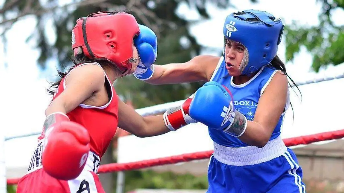 Boxeo2