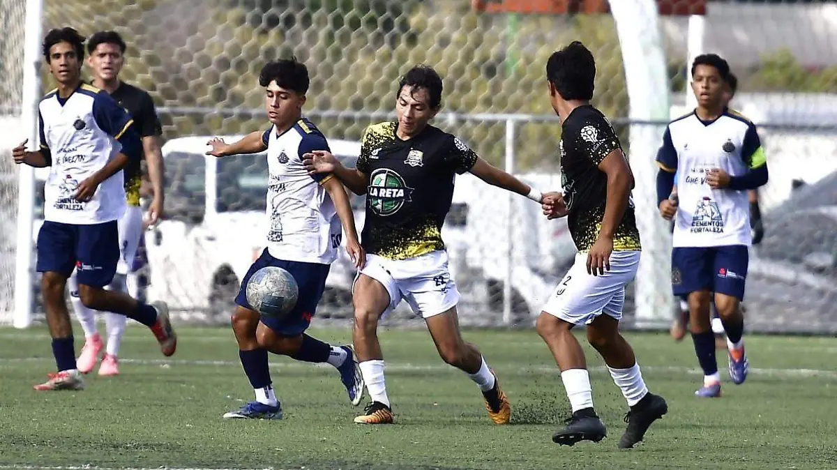 Potosinos Futbol Club en la TDP