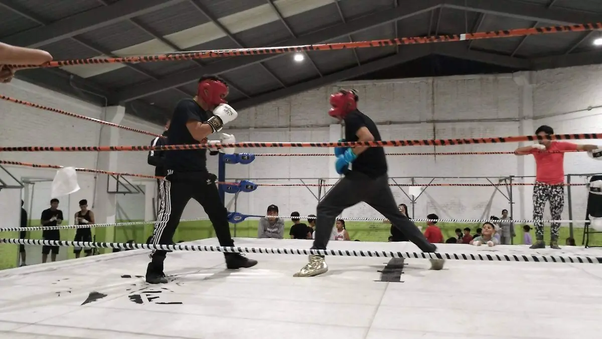Boxeo