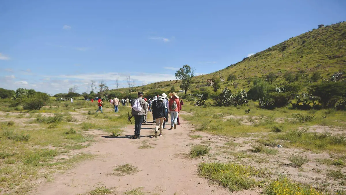 Reforestación Cañada del Lobo