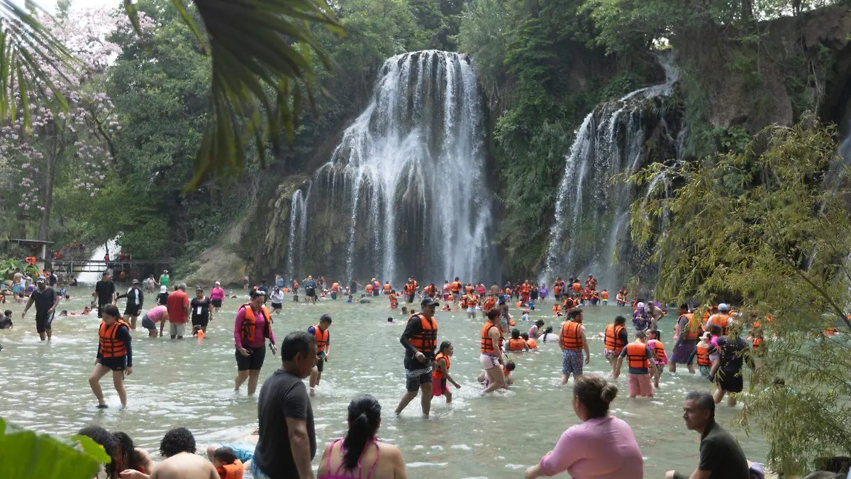 WhatsApp Image 2025-09-21 at 12.13.31 PM