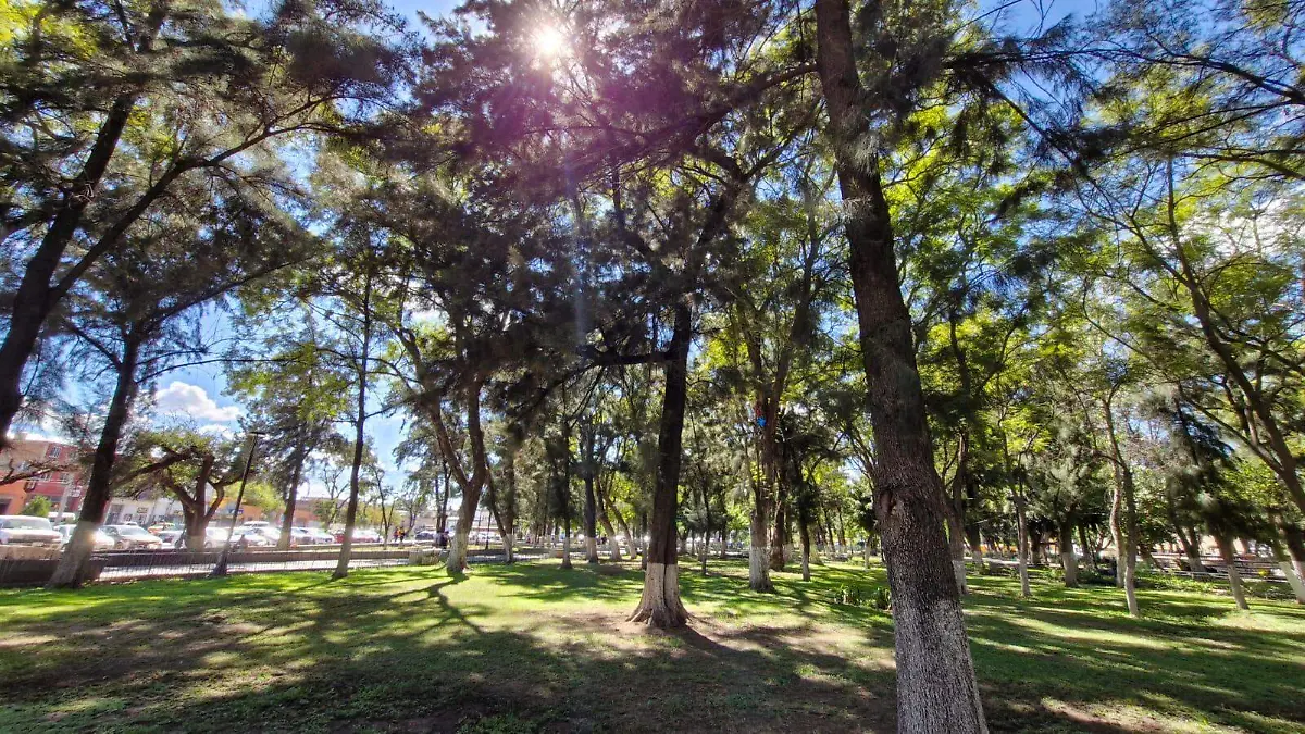 Alameda Juan Sarabia 