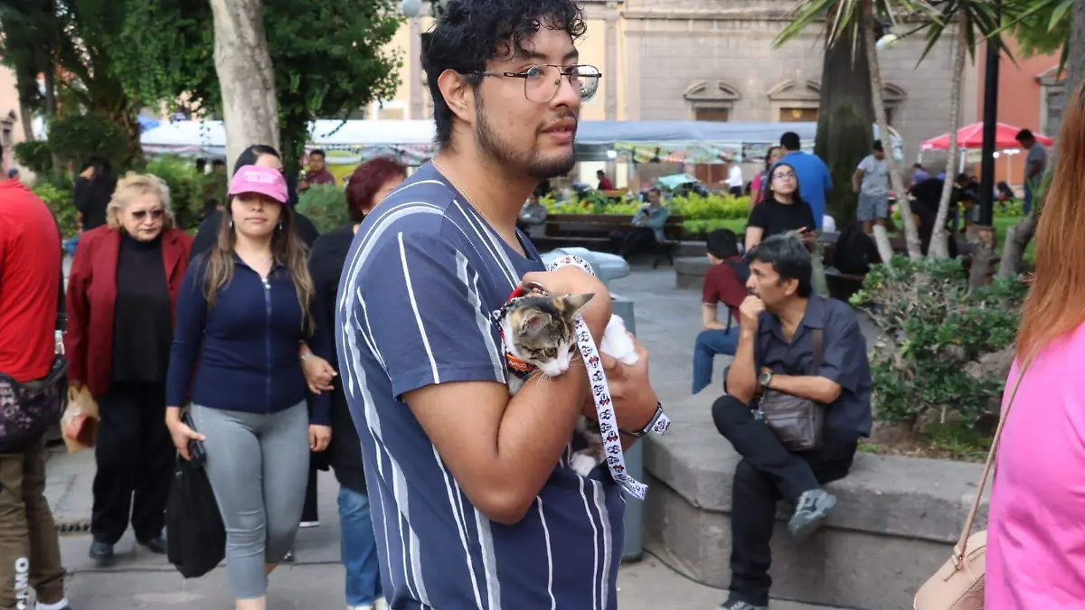 bendición de mascotas San Francisco de Asis