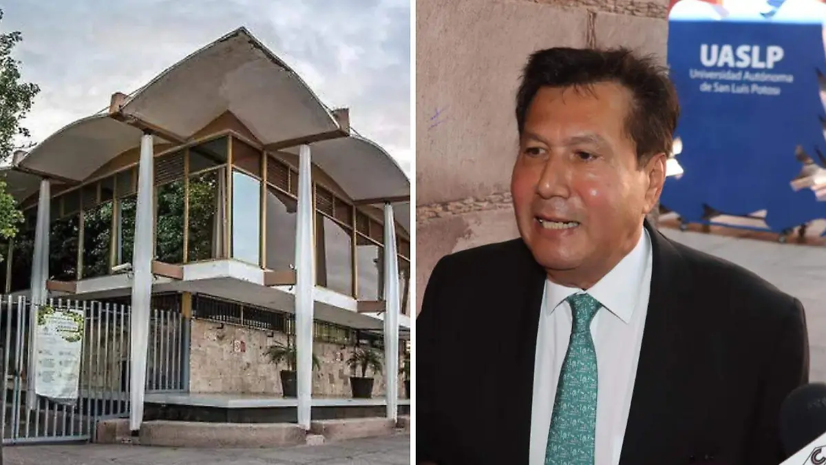 WhatsApp Image 2025-10-28 at 13.11.18