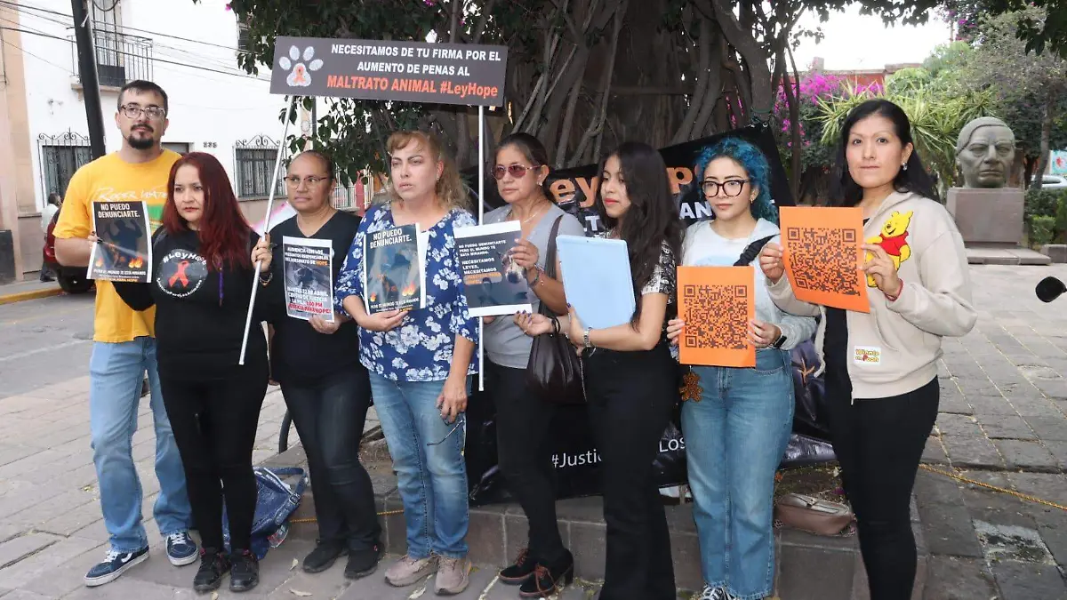 WhatsApp Image 2025-10-29 at 13.28.16