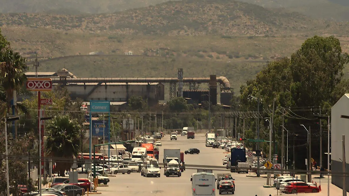 WhatsApp Image 2025-10-31 at 13.25.24