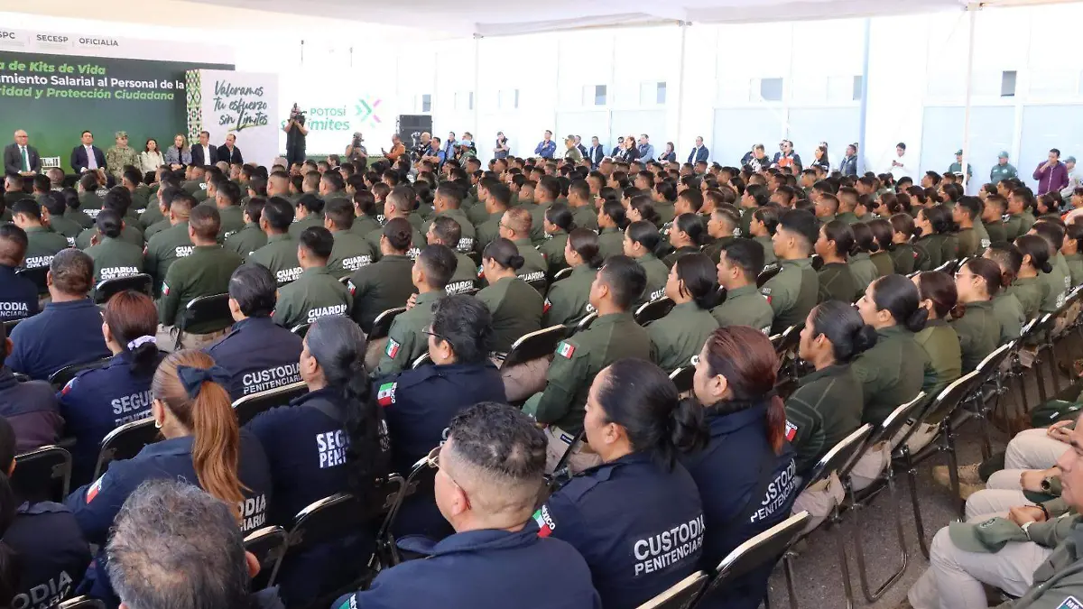 WhatsApp Image 2025-11-03 at 15.05.26