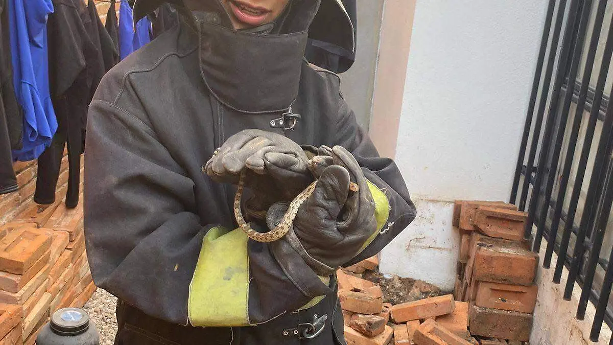 WhatsApp Image 2025-11-04 at 15.35.04