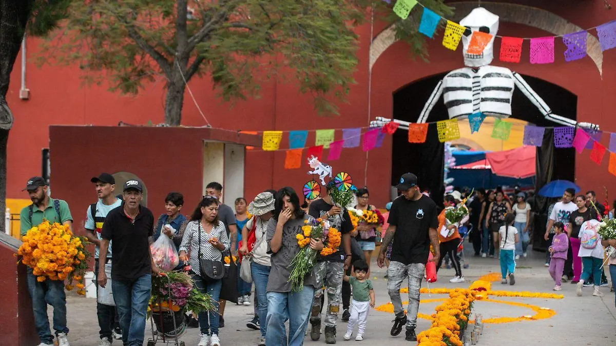 WhatsApp Image 2025-11-04 at 13.46.00