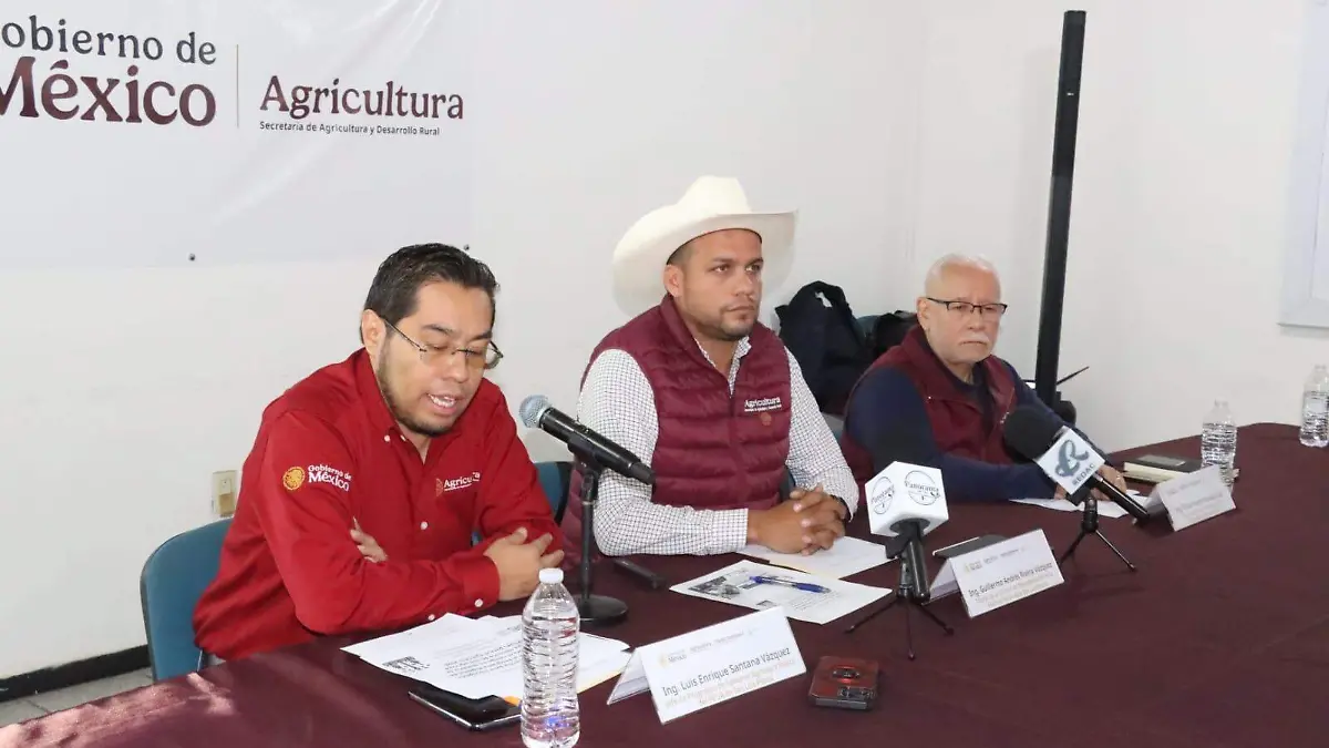 WhatsApp Image 2025-11-11 at 13.53.36