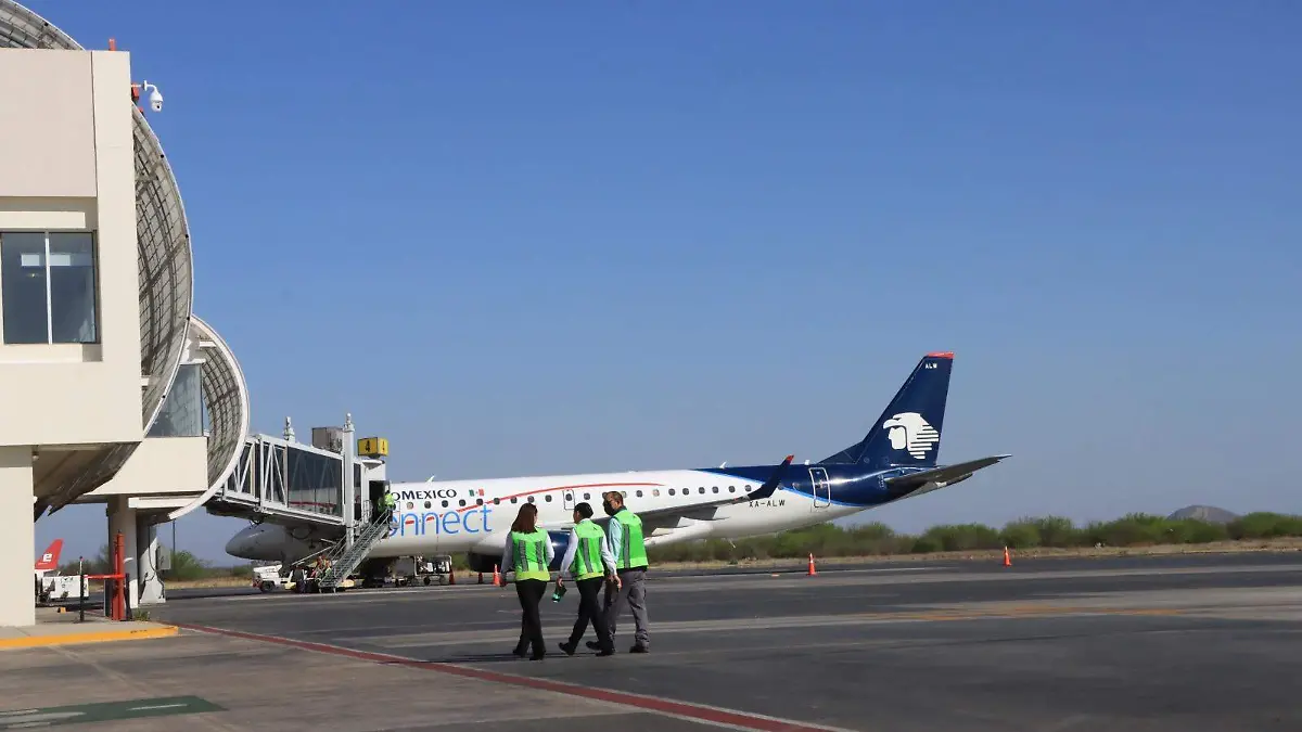 WhatsApp Image 2025-11-11 at 14.59.17