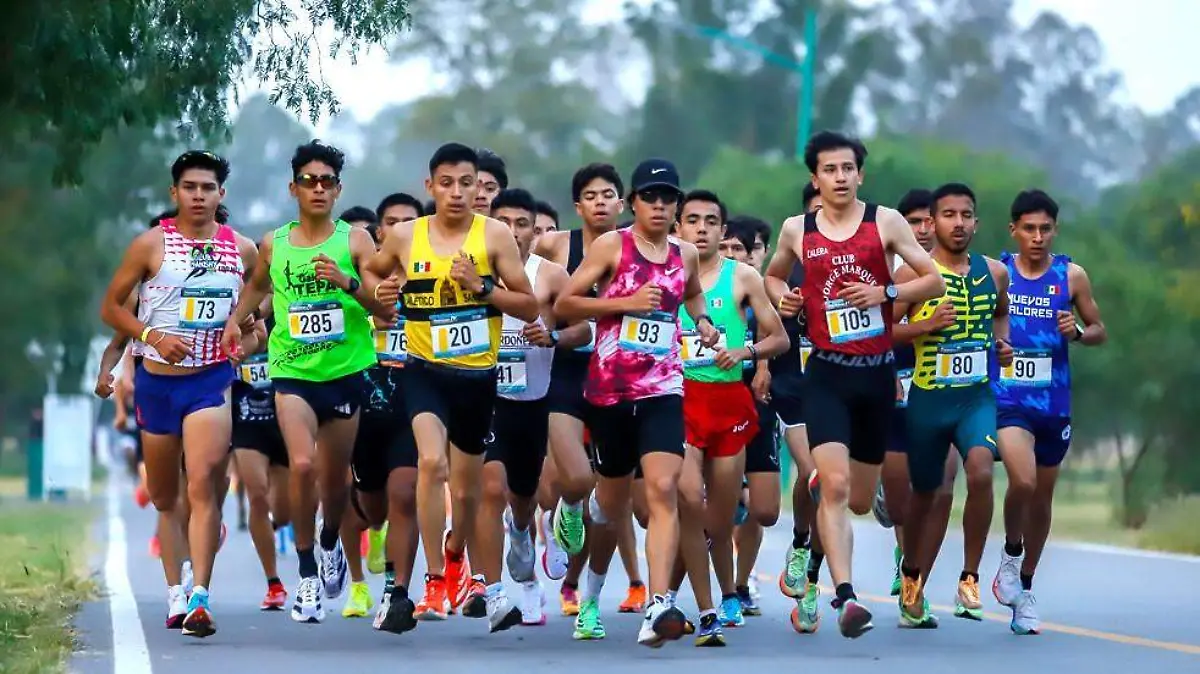 WhatsApp Image 2025-11-13 at 14.30.31