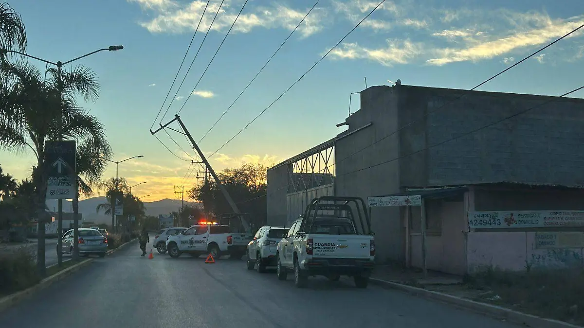 WhatsApp Image 2025-11-15 at 10.31.18